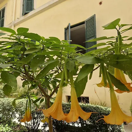 Home Rome Borsieri-2